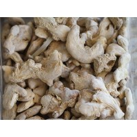 TANE KÖK ZENCEFİL 100 GR