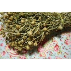 ÖZERLİK OTU 1 DEMET 