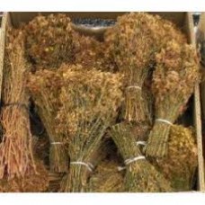 SARI KANTARON 1 Demet